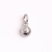 Volleyball Silver Charm