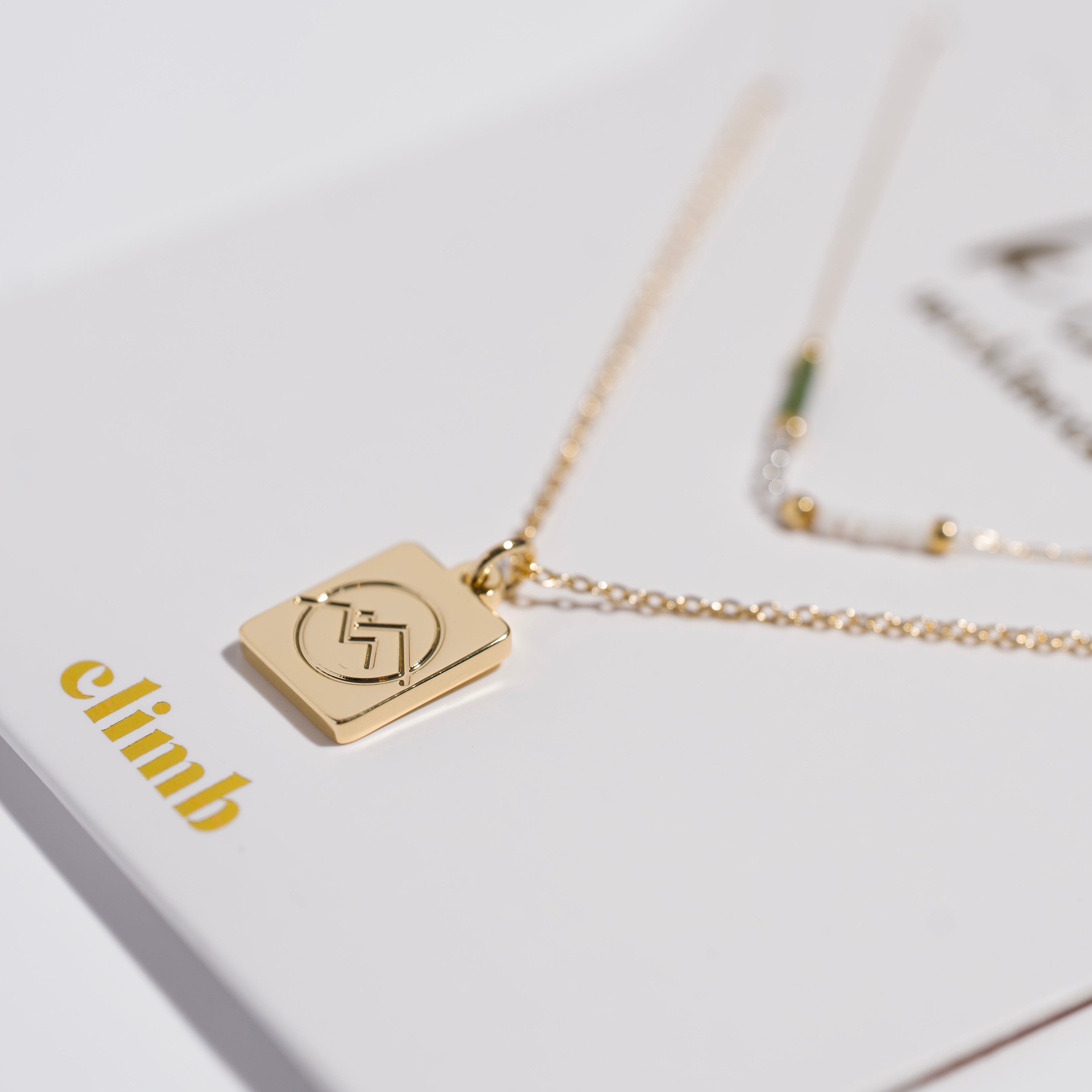 Climb Necklace Set- New