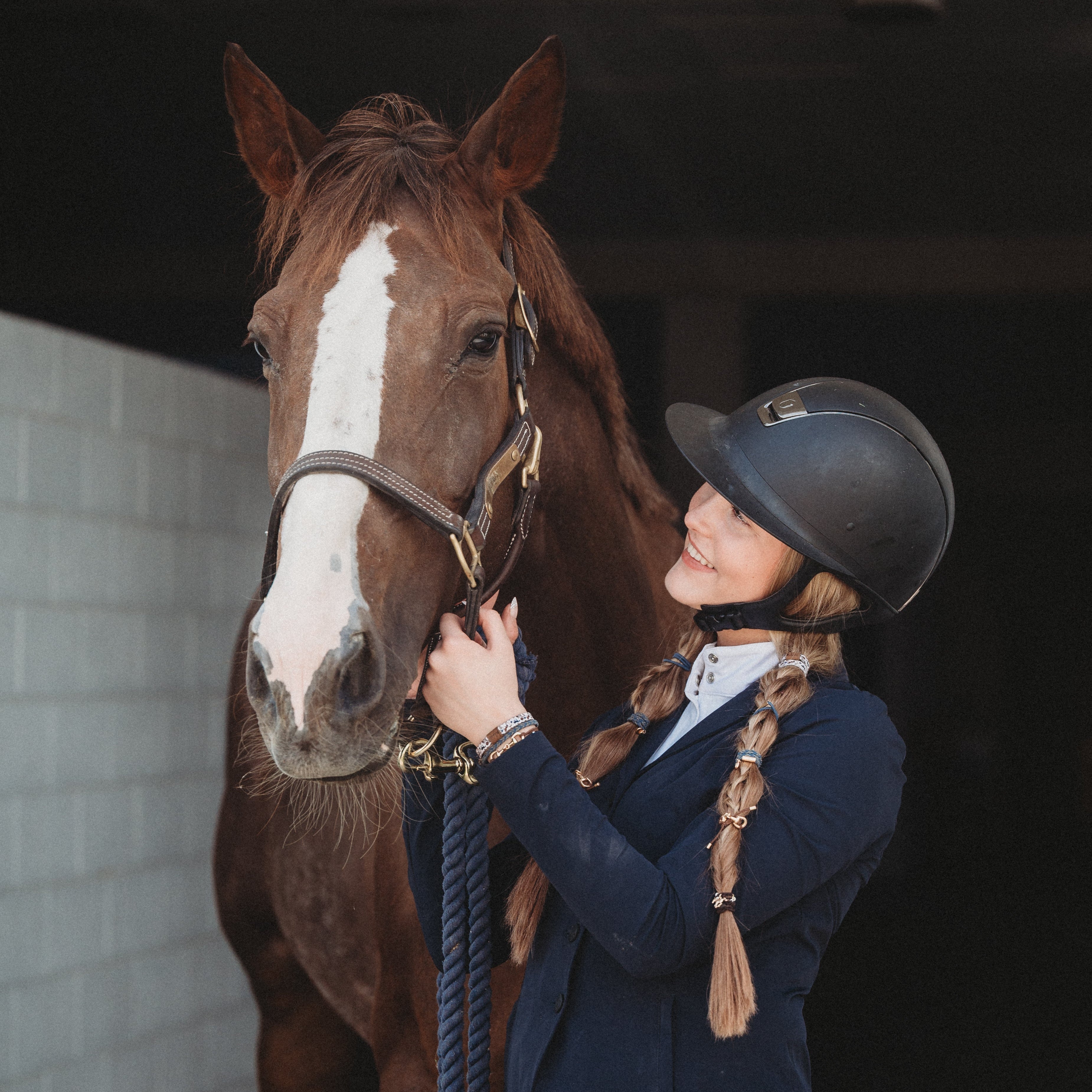 "Gallop" Horse & Bit Equestrian Accents in Rich Brown & Blue Hair Tie Bracelets