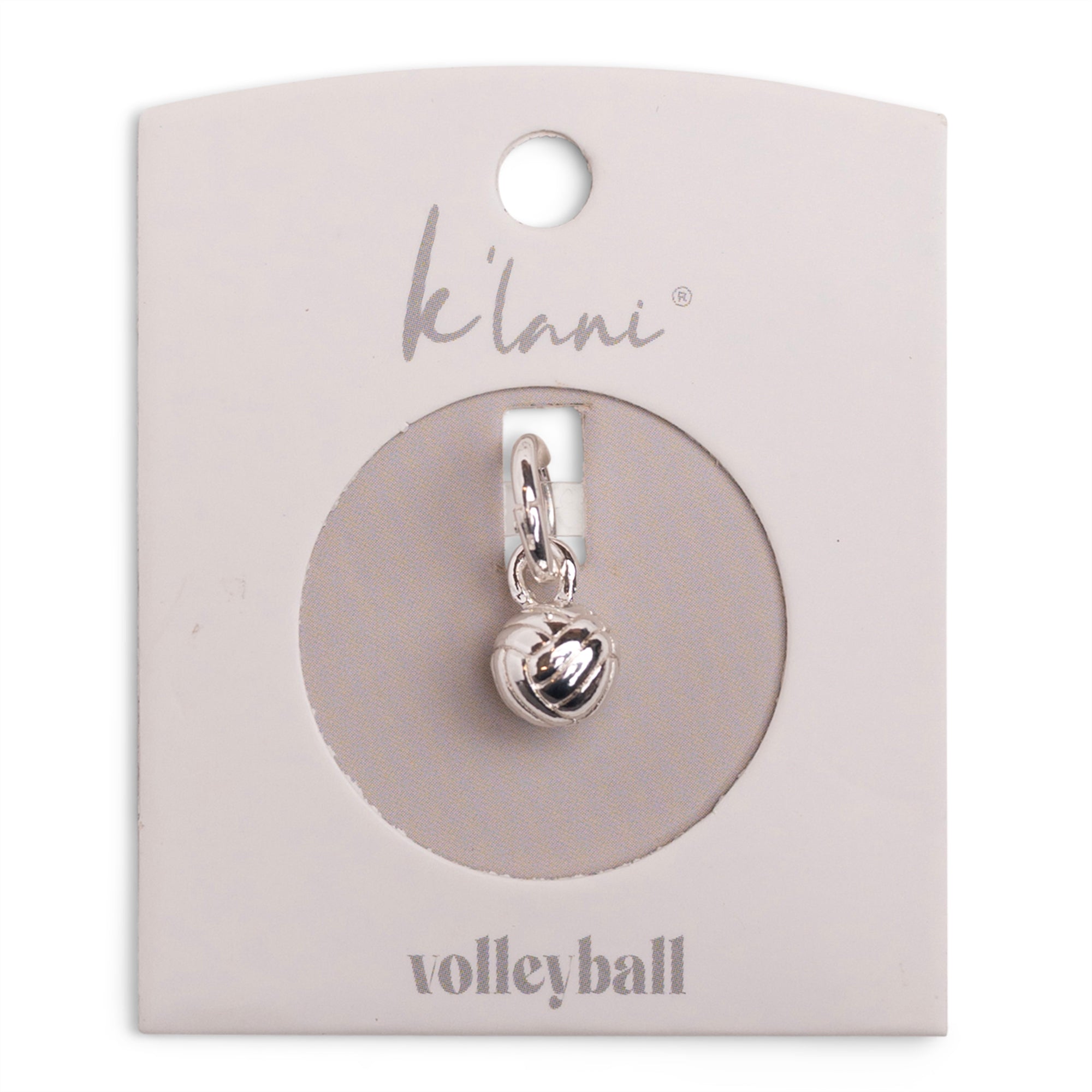 Volleyball Silver Charm