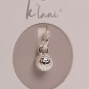 Volleyball Silver Charm