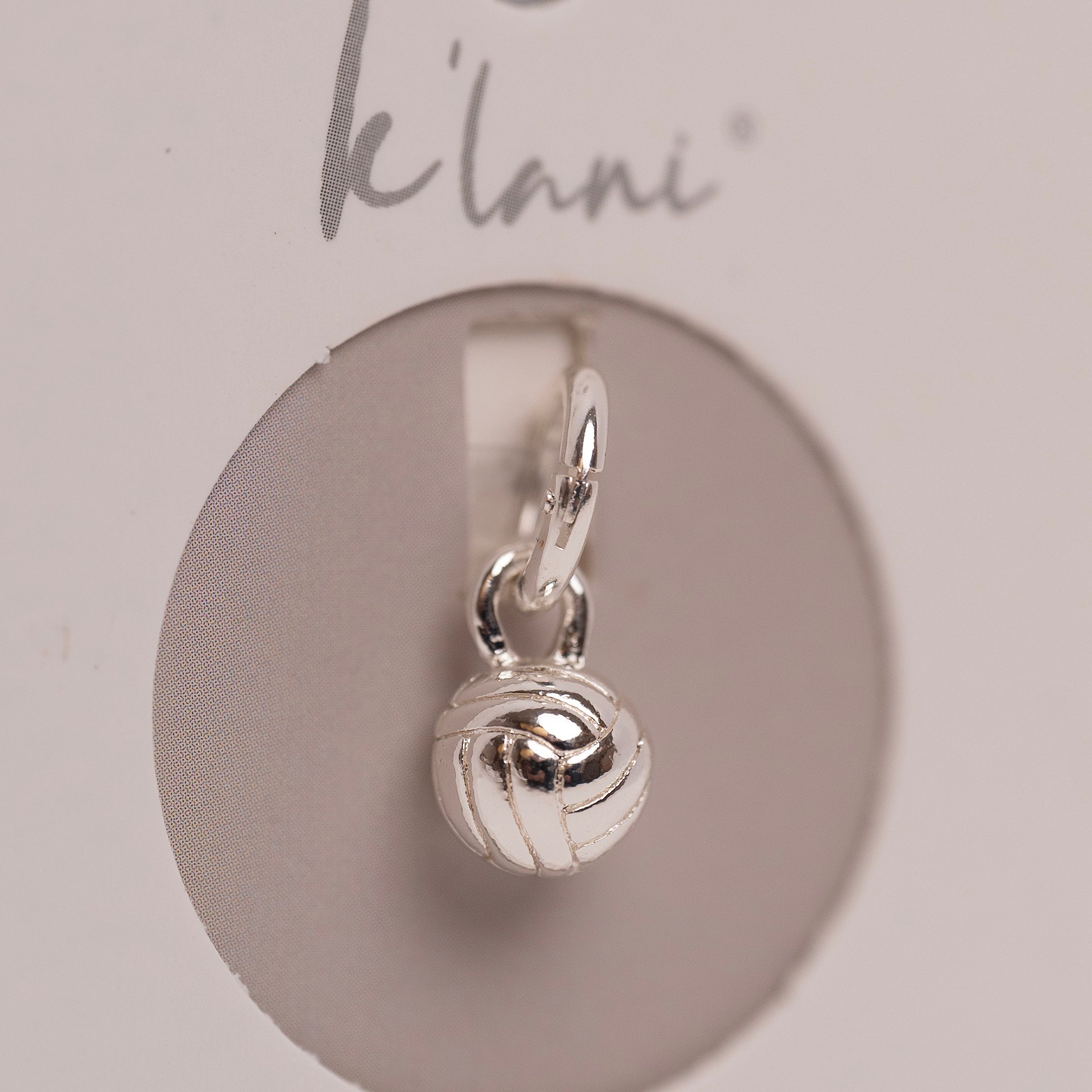Volleyball Silver Charm