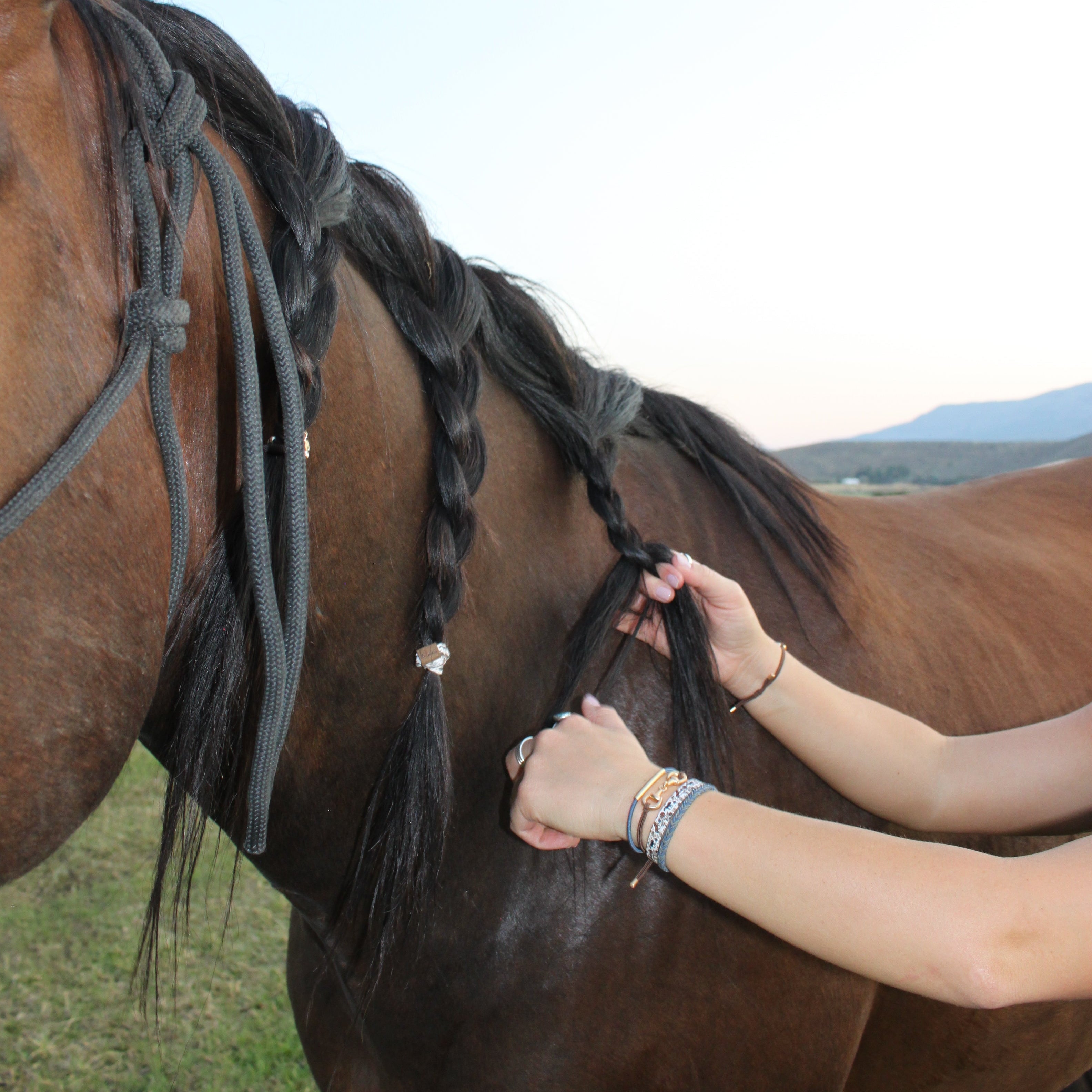 "Gallop" Horse & Bit Equestrian Accents in Rich Brown & Blue Hair Tie Bracelets